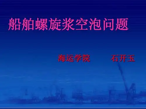 海运学院石开玉船舶螺旋浆空泡问题