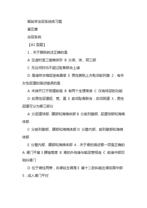 解剖学泌尿系统练习题