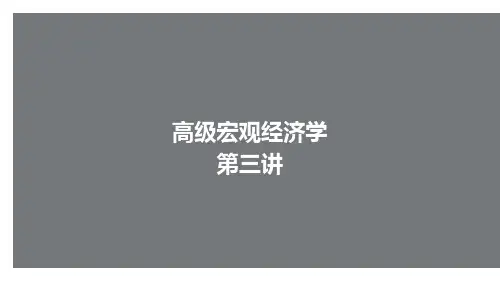 高级宏观经济学第三讲