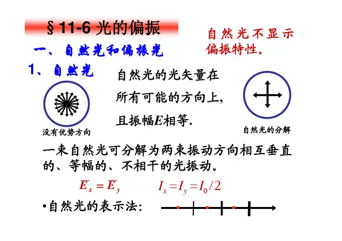 11-6光的偏振
