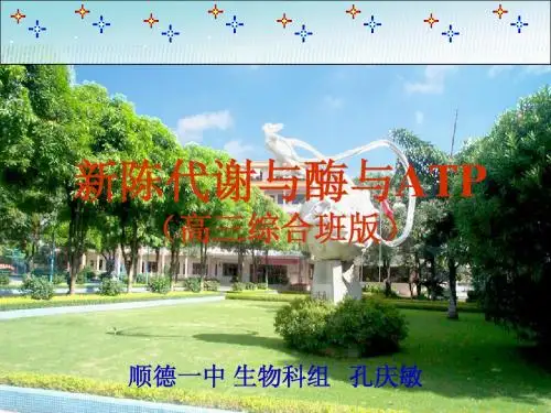 人教版教学课件2010细胞的能量通货--ATP 新陈代谢与酶与ATP资料