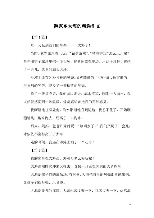 游家乡大海的精选作文