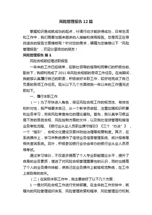 风险管理报告12篇