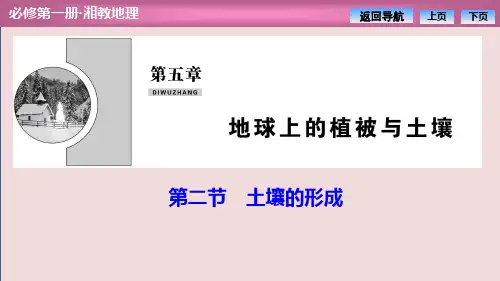 高中地理湘教版(2019)必修第一册 第五章  第二节 土壤的形成