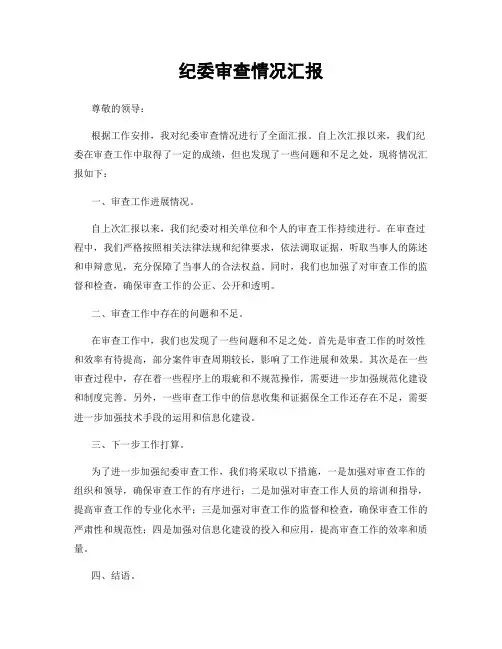 纪委审查情况汇报