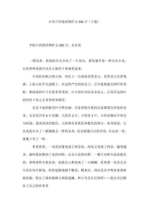 小学六年级状物作文500字(十篇)