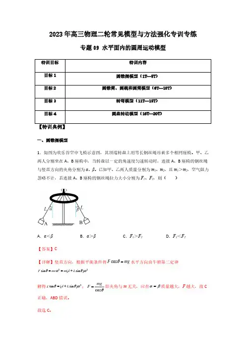 专题09 水平面内的圆周运动模型(解析版)