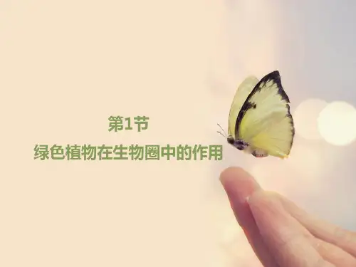 北师大版七年级生物上册3.71《绿色植物在生物圈中的作用》课件(共31张PPT)