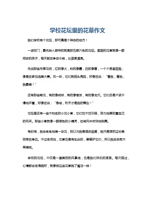 学校花坛里的花草作文