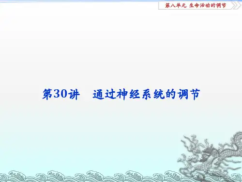全国2018版高考生物大一轮复习第八单元生命活动的调节第30讲通过神经系统的调节课件