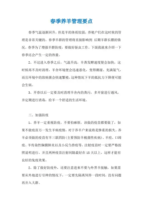 春季养羊管理要点