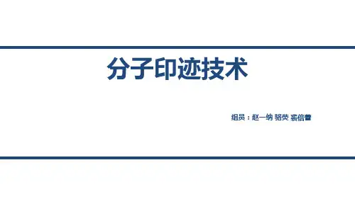 分子印迹技术演示ppt