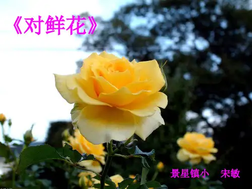 对鲜花课件
