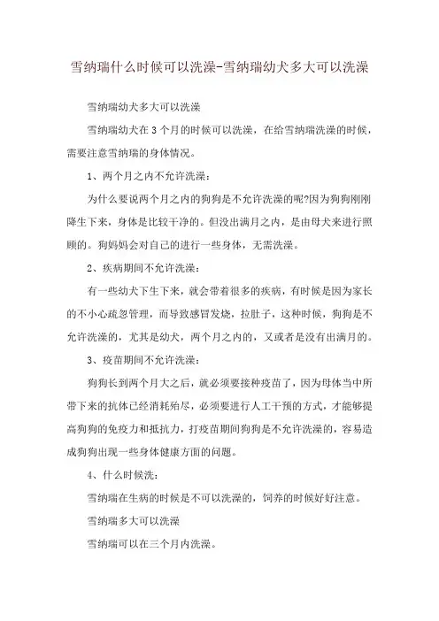雪纳瑞什么时候可以洗澡-雪纳瑞幼犬多大可以洗澡