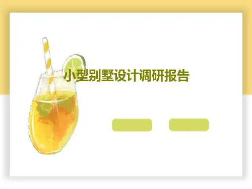 小型别墅设计调研报告共19页