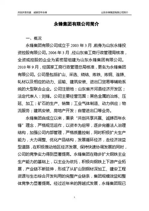 永锋集团有限公司简介(2011.1.1)