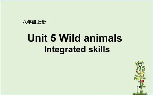 牛津译林版八年级上册英语Unit 5 Wild animals Integrated skills课件