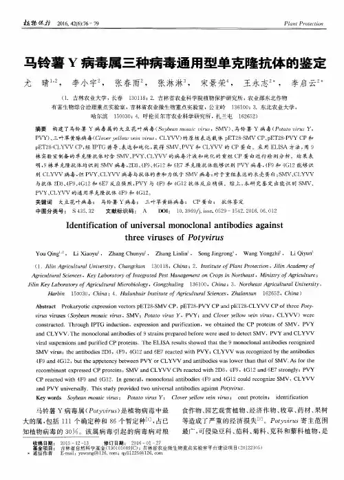 马铃薯Y病毒属三种病毒通用型单克隆抗体的鉴定