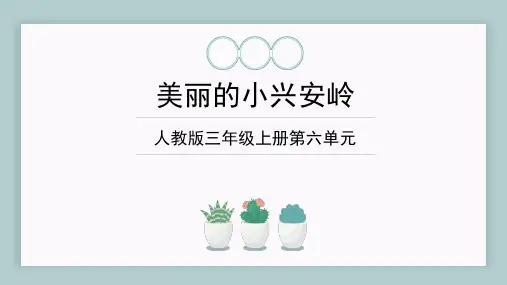 统编版三年级语文上册20.《美丽的小兴安岭》说课课件(共19张PPT)