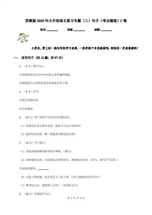 苏教版2020年小升初语文复习专题(三)句子(考点梳理)C卷