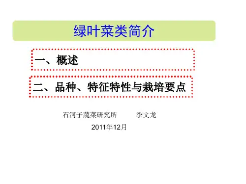 绿叶菜类(叶甜菜,球茎茴香,香芹,油麦菜,苦苣;荠菜,冬寒菜;紫苏;苋菜;空心菜;木耳菜;番杏)资料