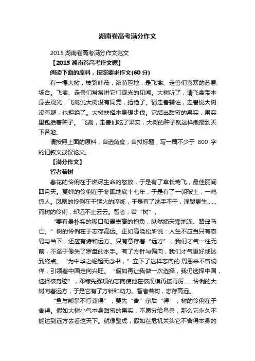 湖南卷高考满分作文
