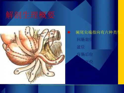 最新阑尾炎幻灯课件-PPT文档