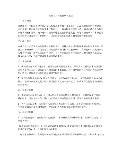 淄博项目可行性研究报告