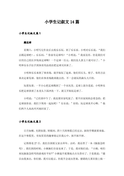 小学生记叙文14篇