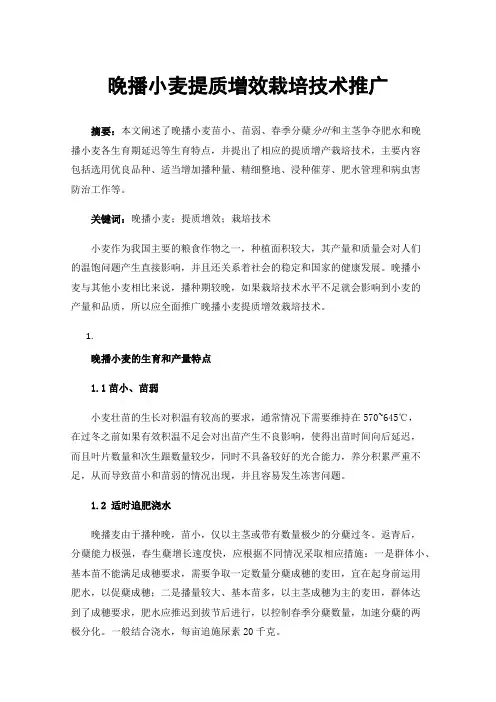晚播小麦提质增效栽培技术推广