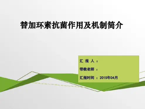 替加环素介绍