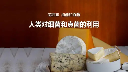 《人类对细菌和真菌的利用》PPT优秀课件