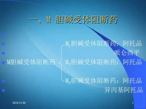 胆碱受体阻断药I—M胆碱受体阻断药