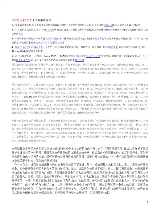 预算软约束