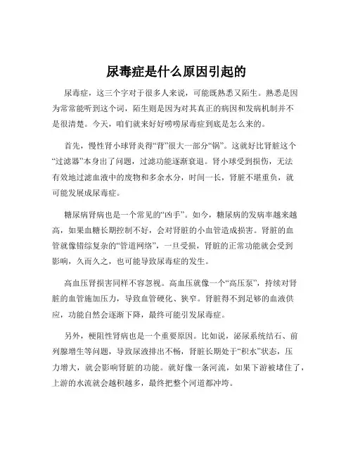 尿毒症是什么原因引起的