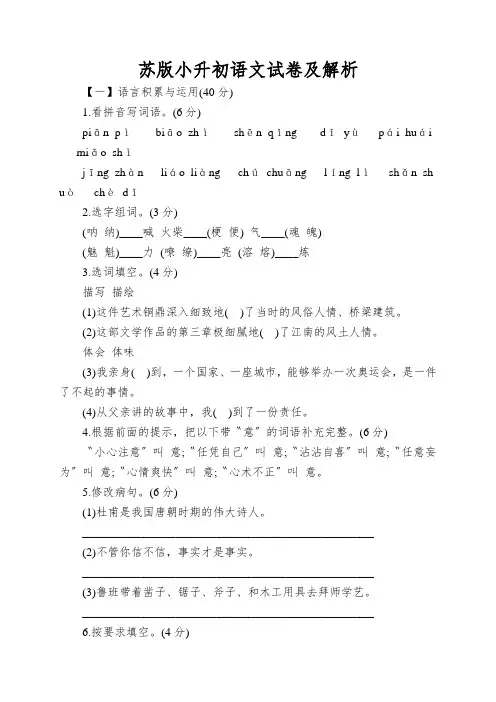 苏版小升初语文试卷及解析