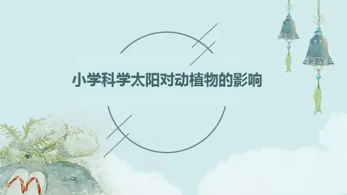 小学科学太阳对动植物的影响课件ppt
