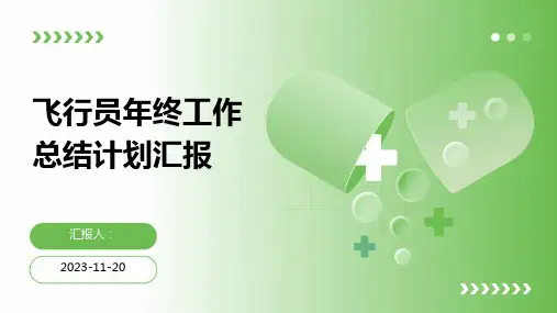 飞行员年终工作总结计划汇报