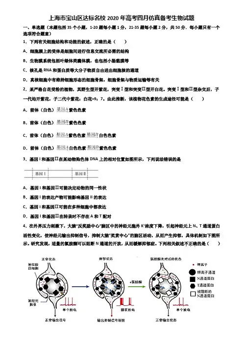 上海市宝山区达标名校2020年高考四月仿真备考生物试题含解析