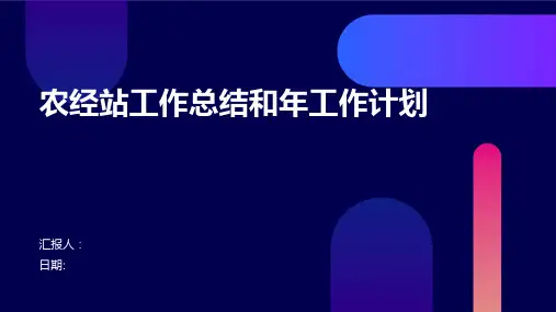 农经站工作总结和年工作计划