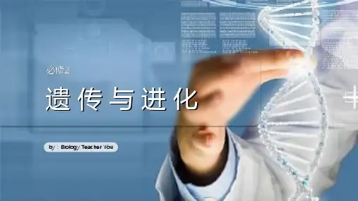 孟德尔的豌豆杂交实验(一)课件-高一下学期生物人教版必修2