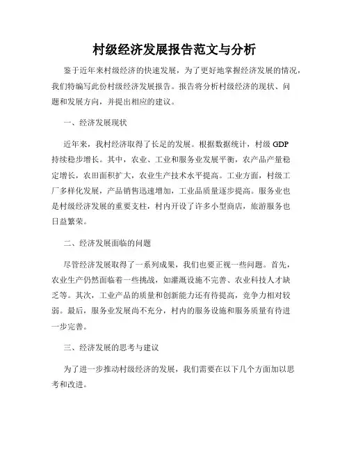 村级经济发展报告范文与分析