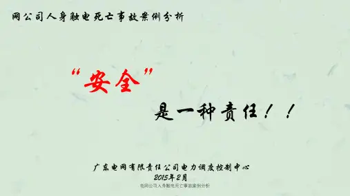 电网公司人身触电死亡事故案例分析课件