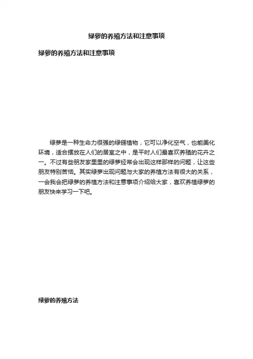 绿萝的养殖方法和注意事项