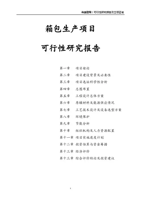 箱包生产项目可行性研究报告