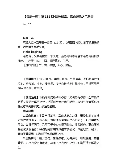 【每周一药】第112期?清热解毒、活血通脉之毛冬青