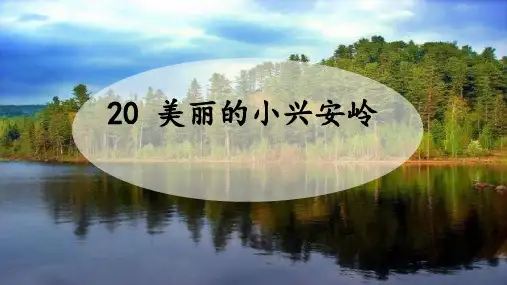 20 美丽的小兴安岭(课件)(共21张ppt)