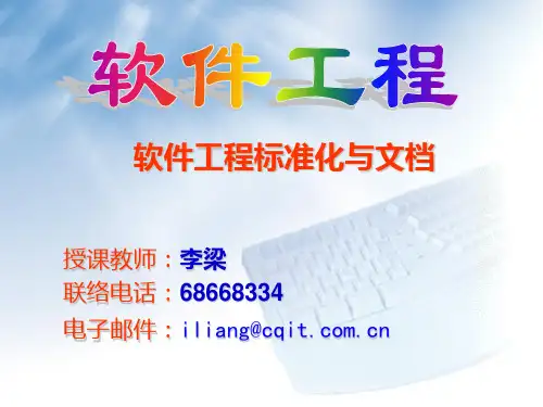 软件工程标准化与文档