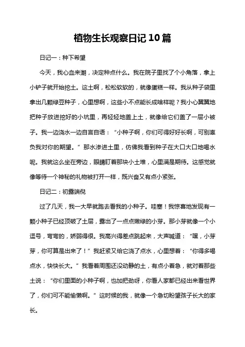 植物生长观察日记10篇