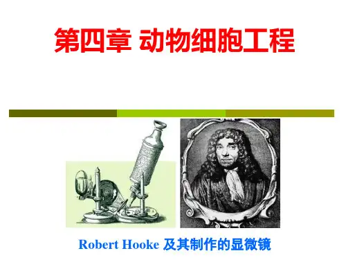 生物制药工程：第四章-动物细胞工程制药